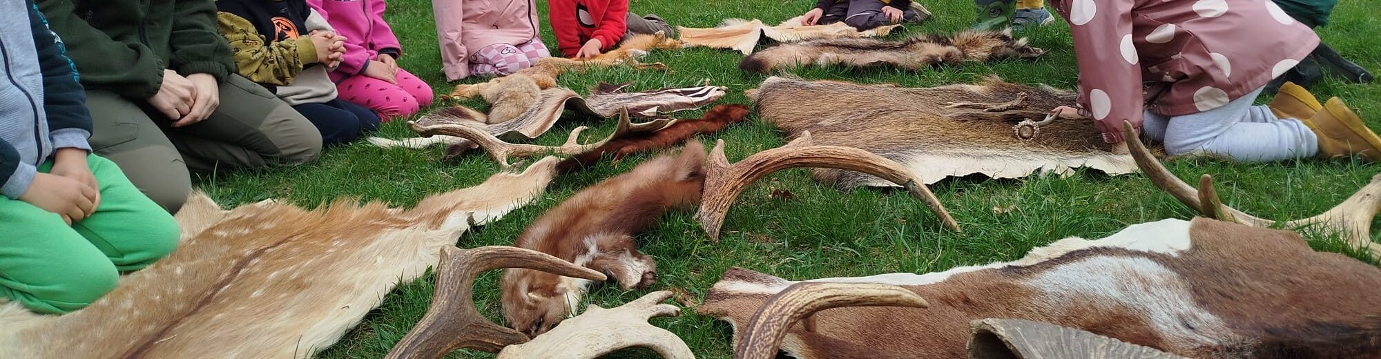 Lesní klub Dubínek